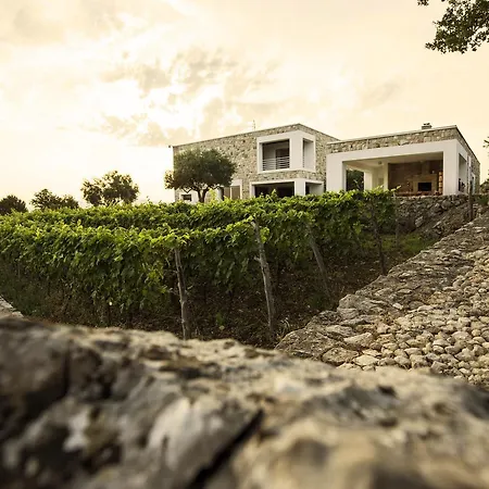 Stanic Estate Villa *